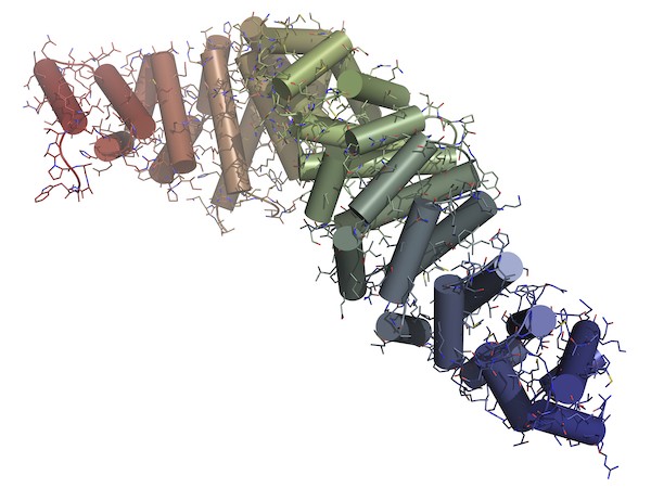 Wingless/Integrated (Wnt) recombinant proteins